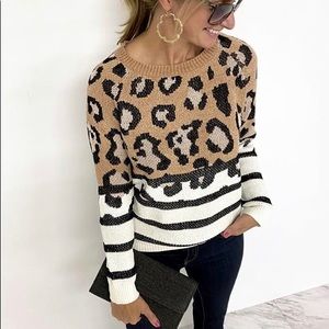 Animal print and striped sweater- boutique item